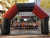 cursa09_010_copia