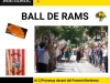 20170520_ball_rams