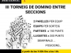 20170528_domino