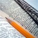 certamen-literari-mini